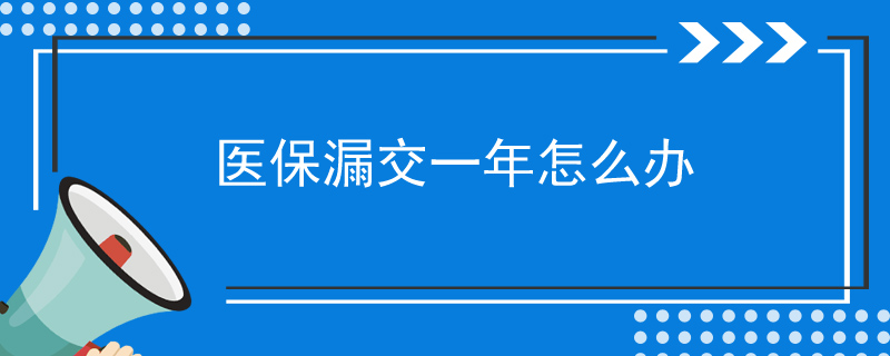 医保漏交一年怎么办