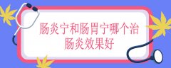肠炎宁和肠胃宁哪个治肠炎效果好