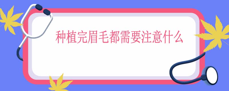 种植完眉毛都需要注意什么