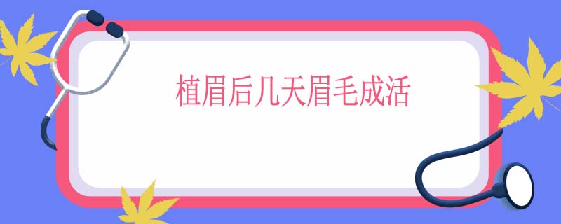 植眉后几天眉毛成活