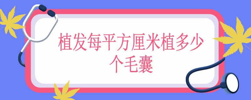 植发每平方厘米植多少个毛囊