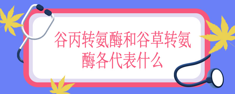 谷丙转氨酶和谷草转氨酶各代表什么