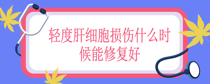 轻度肝细胞损伤什么时候能修复好