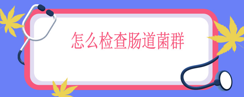 怎么检查肠道菌群