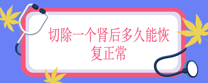 切除一个肾后多久能恢复正常