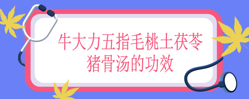 牛大力五指毛桃土茯苓猪骨汤的功效