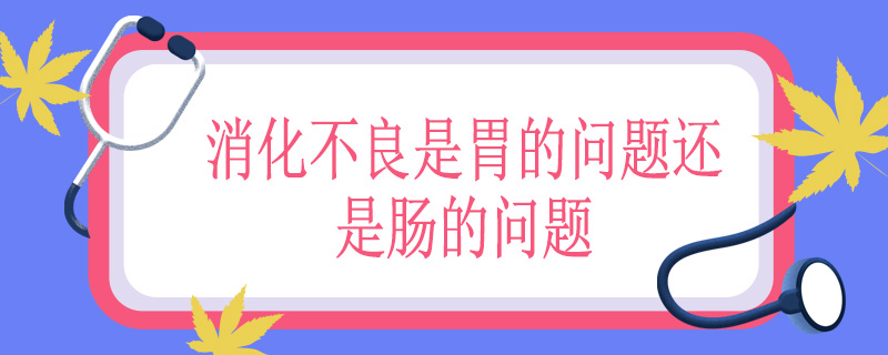 消化不良是胃的问题还是肠的问题