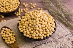 纳豆可以补充益生菌吗，纳豆菌和益生菌有啥区别