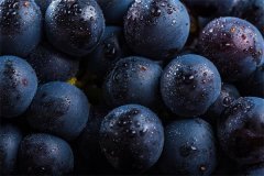 花青素有什么功效，黑枸杞的花青素对人体有什么好处